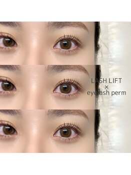 ミロ 渋谷店(MIROH)/【ラッシュリフト上下】