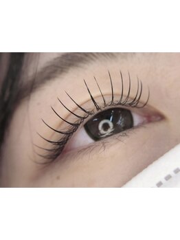 初めての方にオススメ