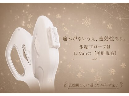 ラヴァン(LaVan)の写真