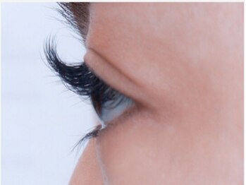 アイラッシュ フリーティエ(eyelash freetie)/◆Dカール◆