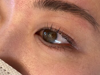 アルモワーズ(armoise)/まつげパーマ