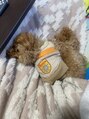 ポノ 獨協大学前店(pono)&nbsp;飼い犬とお昼寝するのが日課です！