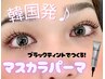 【期間限定】マスカラパーマ ￥6600  アイシャンプー付《土日祝+500円》