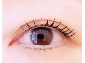 メイプル(MAPLE)/デザインカール