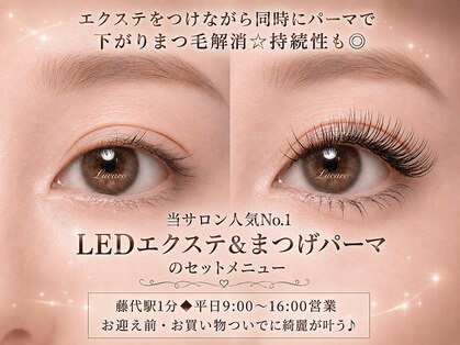 ルカロ(Lucaro)の写真
