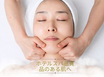 テッコ(TeCCO)の写真
