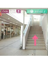 ハナバナ(HaNaBaNa)/階段を上がって下さい