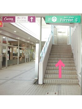 ハナバナ(HaNaBaNa)/階段を上がって下さい