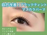【目力改善】ブラックティント★マスカラパーマ　¥6500→¥6000