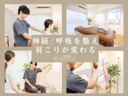 ハリデイズの写真