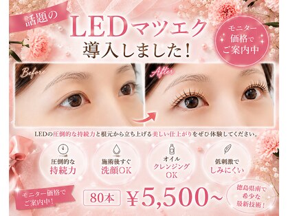 ワッカ(Wakka)の写真