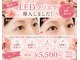 ワッカ(Wakka)の写真