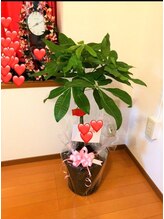 ココピュアレ(coco purele)/パキラのパキちゃん♪