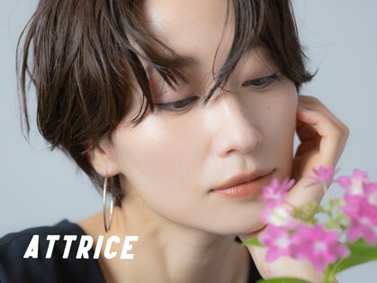 アットリーチェ(Attrice)の写真