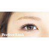 【Perfect lash】軽量＆長持ちマツエク☆60束