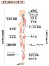 かんとま整骨院 中区鶴舞院/抗重力筋