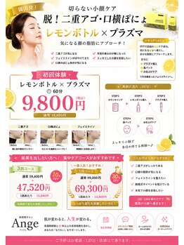 アンジュ/レモンボトルチラシ