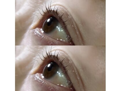 la veriteの写真