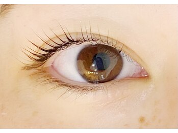 シュシュ(chou chou)/【パリジェンヌラッシュリフト】