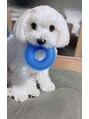 ディー ネイル アイラッシュ ヤバ(DEE nail×eyelash yaba)&nbsp;実家でマルチーズ飼ってます♪
