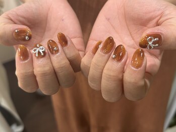 ノヴァ(Nova)/べっこう