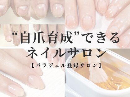 リリー(Lilly)の写真