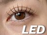 【LED×フラット2時間付放題】本数制限なし★圧倒的持続力で理想の目元　