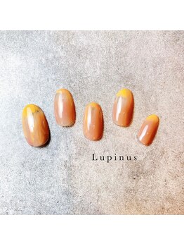 ルピナス(Lupinus)/ニュアンス