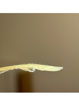 エルドットサナ(L.sana)/フェイシャルワックス