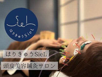 はりきゅう シエル(SieL)の写真