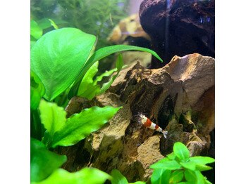 エスペルト/~店内 内観~