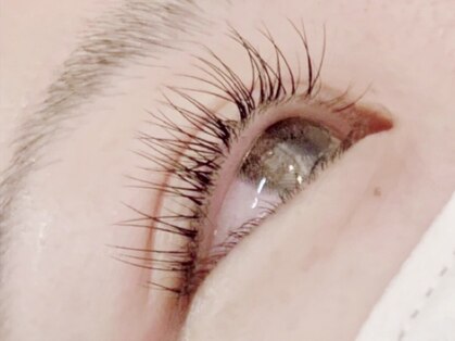 リッカヘアー(Ricca hair)の写真