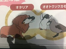 音観堂整体院/泣くペンギンです