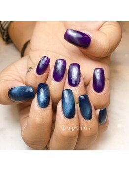 ルピナス(Lupinus)/マグネットネイル