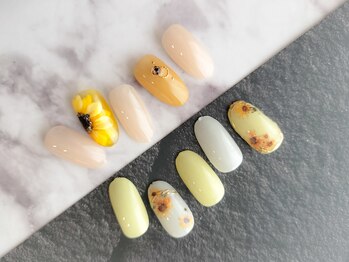 プレジール(Plaisir)/定額Bコース