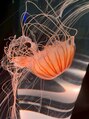 リジェールビューティガーデン(REJOUIR BEAUTY GARDEN) 水族館のクラゲコーナーに入り浸ります!