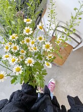 ミルク(milc.)/milc.