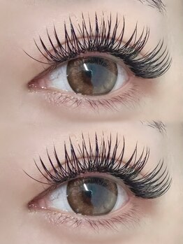 アトリエ ボノ(BONO)/メガフラットラッシュ