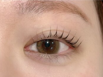 シュガーアイプラス(SUGAR eye plus)/まつげパーマ