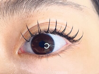 リリー(Lily)の写真