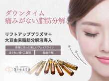シエスタ(siesta)/脂肪分解液をプラズマ導入