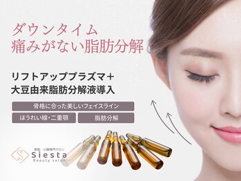 シエスタ(siesta)/脂肪分解液をプラズマ導入