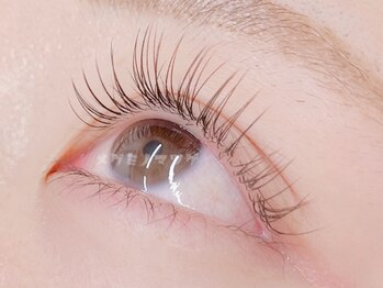 メグミノマツゲ/フラットラッシュ【ブラウン】