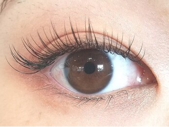 カセッタ アイラッシュ(Casetta eyelash)の写真/柔らかく自然なつけ心地でキープ力◎あなたに似合うデザインを提案し、存在感のある目元作りをお手伝い！