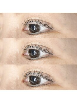 ランプシー(Lampsi)/