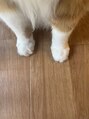 癒し~ぷ 明石駅前店 カフェ、居酒屋、カラオケどこでもふらっと1人で。目指すは猫。