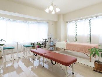mana chiro salon/