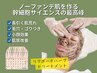 【肌トラブル改善】ノーファンデ肌を作る！剥かないハーブピーリング◇70分