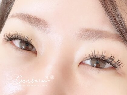 ガーベラ(Gerbera)の写真