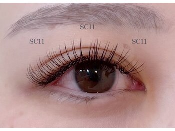 カクテル(COCKTAIL)/フラットラッシュ120本